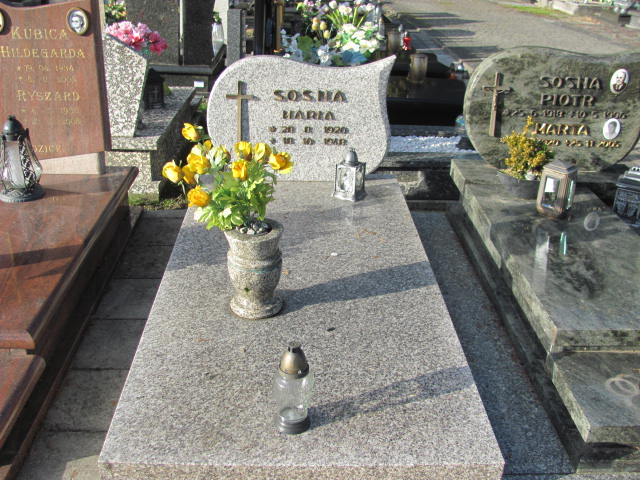 Grób Maria Sosna