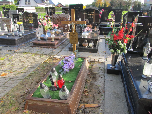 Grób Józef Cofalik