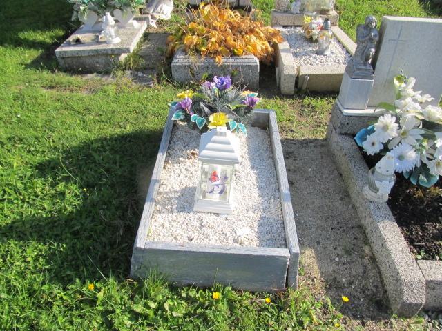 Dariusz Grobelny 1966 Wodzisław Śląski Kokoszyce - Grobonet - Wyszukiwarka osób pochowanych